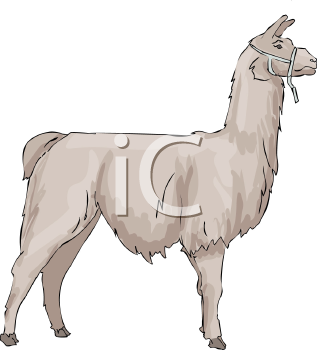 Farm Animal Clipart