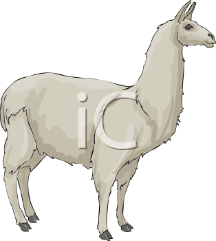 Farm Animal Clipart