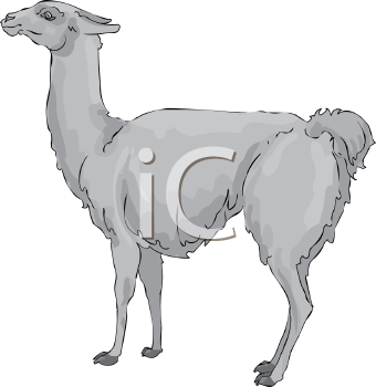 Camel Clipart