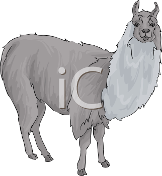 Farm Animal Clipart