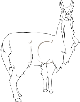 Farm Animal Clipart