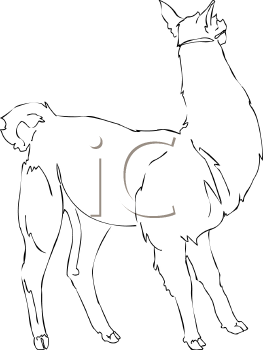 Camel Clipart