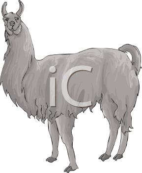 Farm Animal Clipart