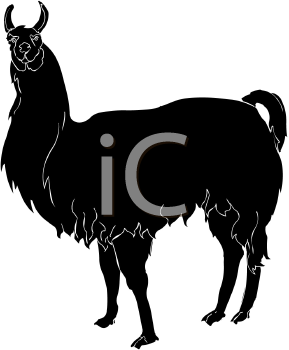 Camel Clipart