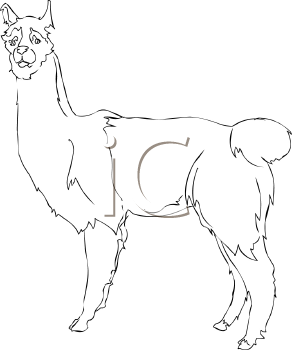 Camel Clipart