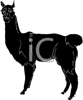 Camel Clipart