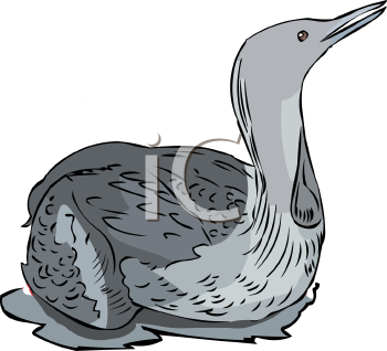 Bird Clipart