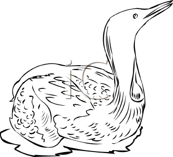 Bird Clipart