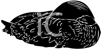 Bird Clipart