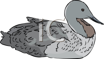 Bird Clipart