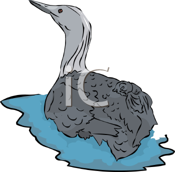 Bird Clipart