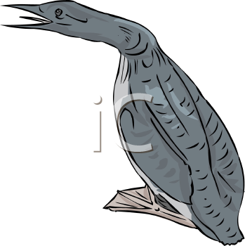 Bird Clipart