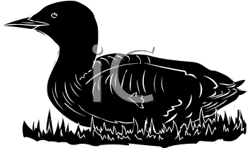 Bird Clipart