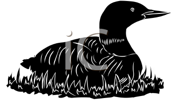 Bird Clipart