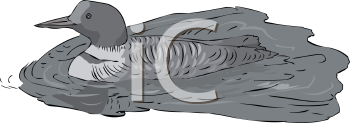 Bird Clipart