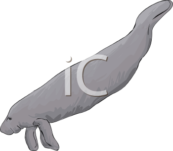 Aquatic Animals Clipart