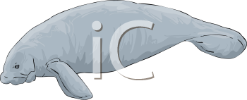 Aquatic Animals Clipart