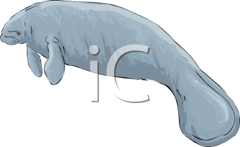 Aquatic Animals Clipart