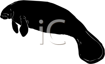 Aquatic Animals Clipart