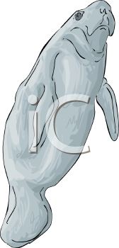 Aquatic Animals Clipart