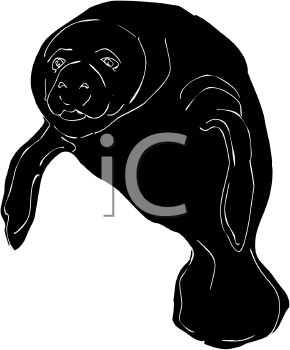 Aquatic Animals Clipart