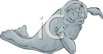 Aquatic Animals Clipart