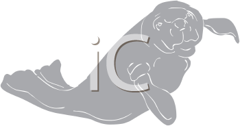 Aquatic Animals Clipart