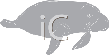 Aquatic Animals Clipart