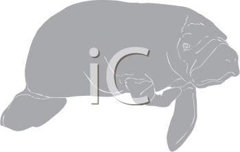 Aquatic Animals Clipart