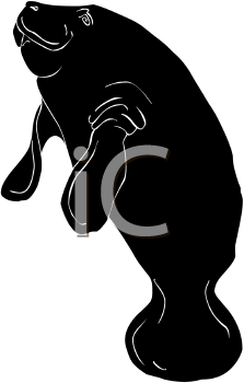 Aquatic Animals Clipart