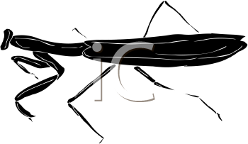 Insect Clipart