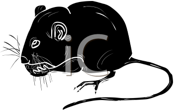 Rodent Clipart