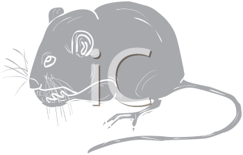 Rodent Clipart