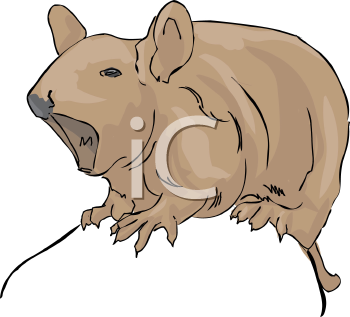 Rodent Clipart