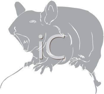 Rodent Clipart