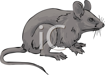 Rodent Clipart