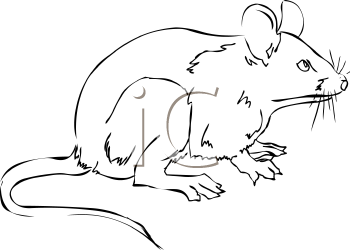 Rodent Clipart