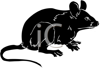 Rodent Clipart