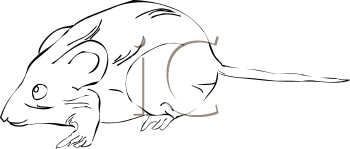 Rodent Clipart