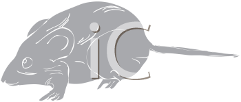 Rodent Clipart