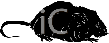 Rodent Clipart