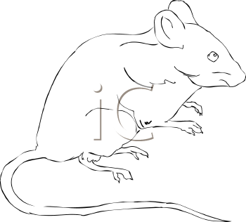 Rodent Clipart