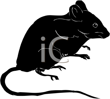 Rodent Clipart