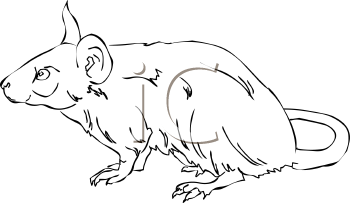 Rodent Clipart