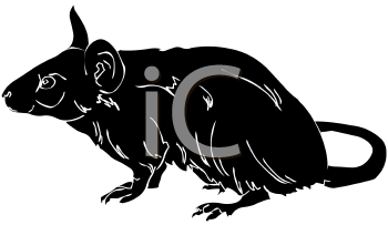 Rodent Clipart