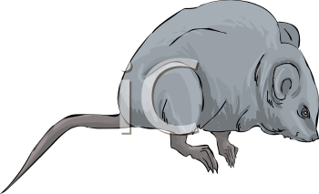 Rodent Clipart