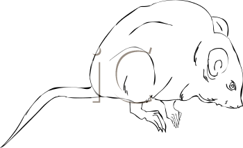 Rodent Clipart