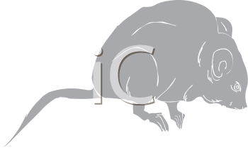 Rodent Clipart