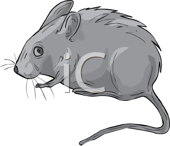 Rodent Clipart