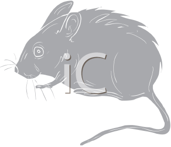 Rodent Clipart